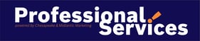 Professional Services Logo Blue Small